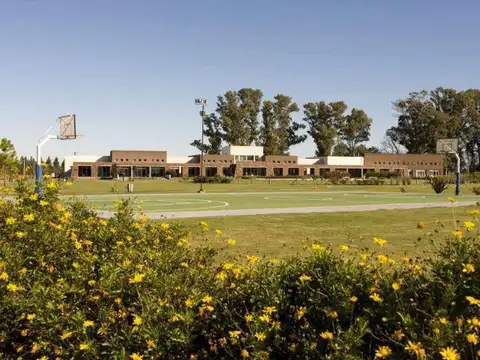 Campos De Roca