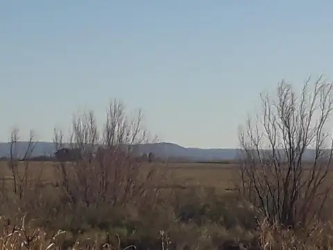 Quinta en Venta 2025 años