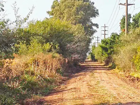 Campo en Zarate