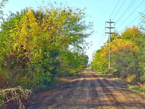 Campo en Venta de 41  ha