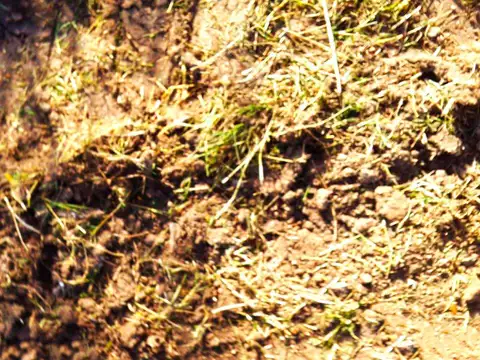 Campo en Zarate