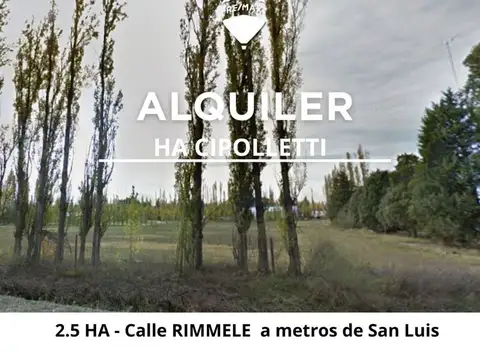 ALQUILER HA IDEAL EMPRESAS