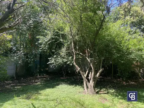 Terreno en Venta 39  mts Fondo