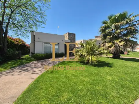San Matias 100
