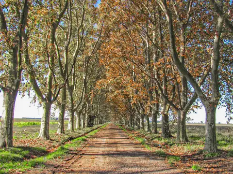 Terreno en Venta en Fighiera, USD 90.000