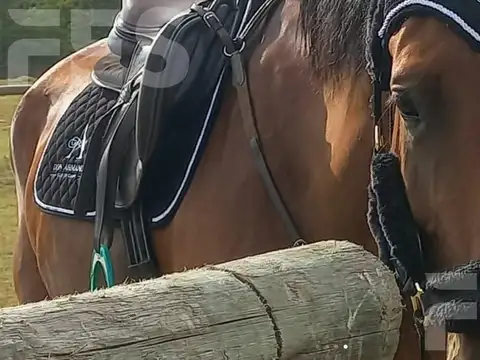 Terreno en Venta de 900,0 m2