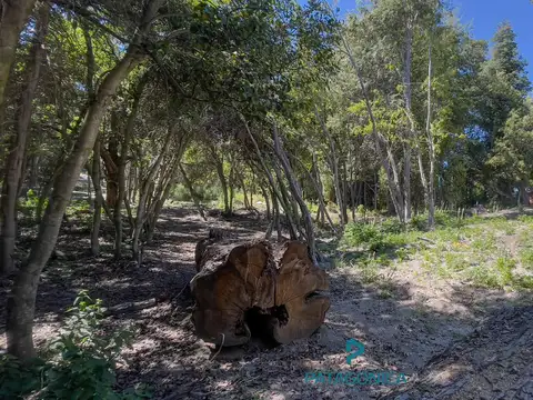 Terreno en Venta en Lomas De Correntoso, USD 84.000