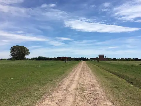 Terreno en Venta 40  mts Frente