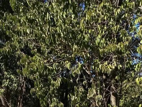 Terreno en Venta en Unquillo, USD 23.500