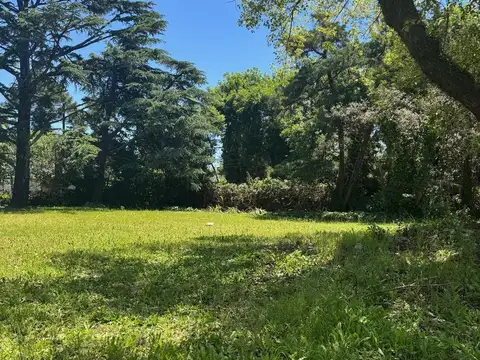 Terreno en Venta 30  mts Fondo