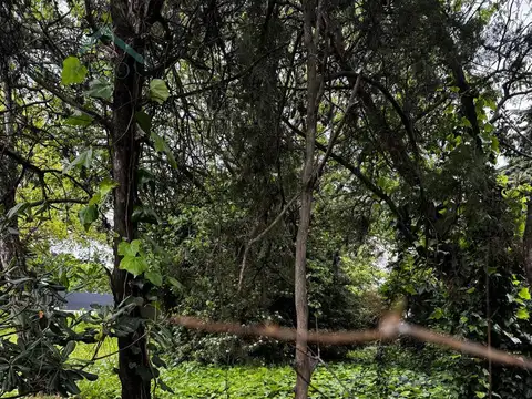 Terreno en Venta en Santa Rita, USD 145.000