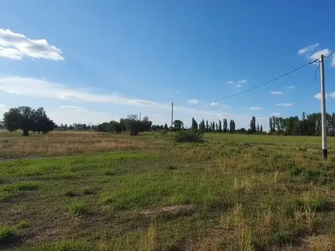 Terreno en Venta de 2000,0 m2