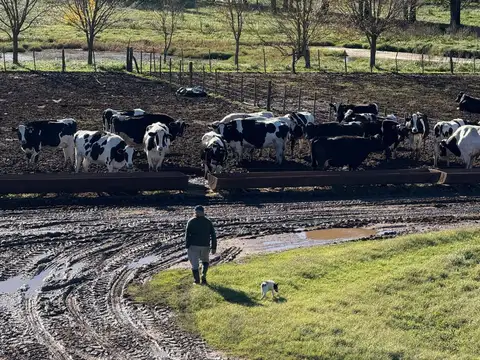 CAMPO MIXTO EN VENTA 194 HAS, RANCHOS, GENERAL PAZ