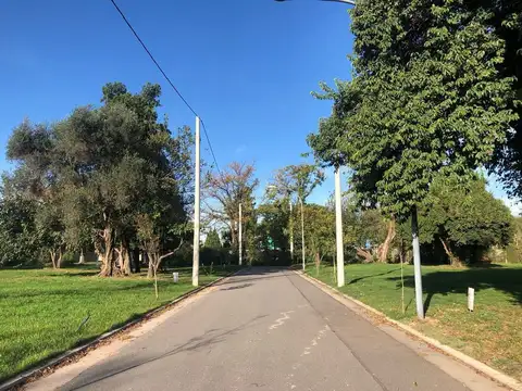 Jardín de las Tejas, Hoya Chasco 300