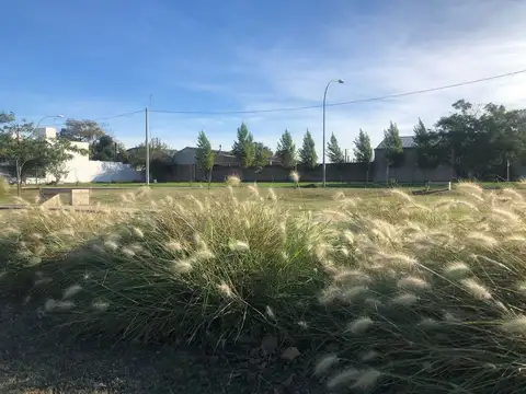 LOTES FINANCIADOS EN JARDIN DE LAS TEJAS
