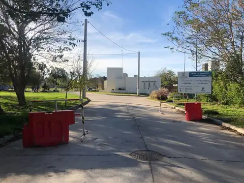 Jardín de las Tejas, Hoya Chasco 300