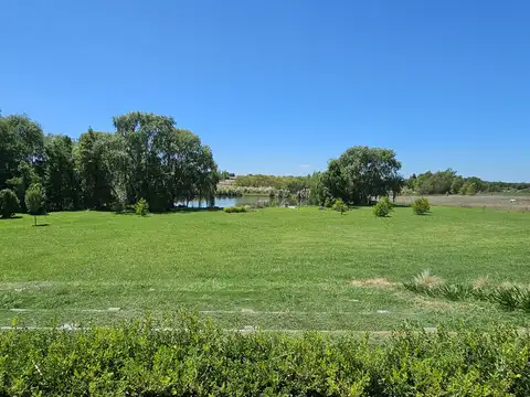 Campo en Venta de 12  ha