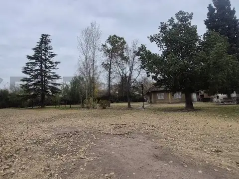 CARRIL RODRIGUEZ PEÑA 700