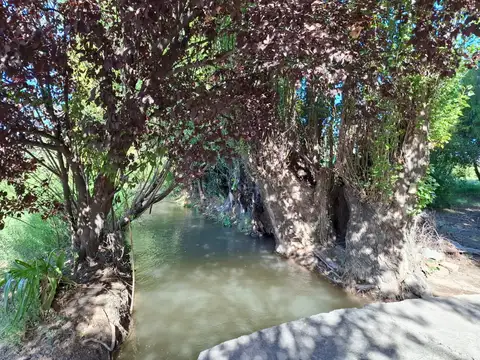 Finca de 9,5 hectáreas – Galpones – Goudge – Oportunidad de inversión