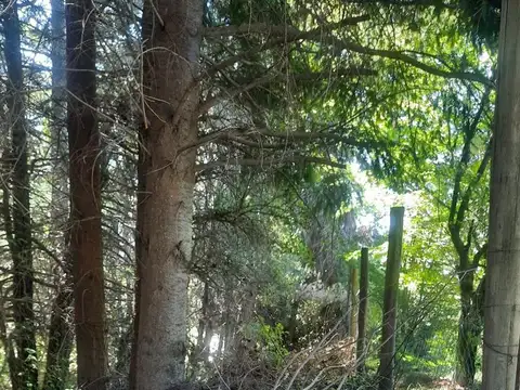 Terreno en Venta, FOT 453