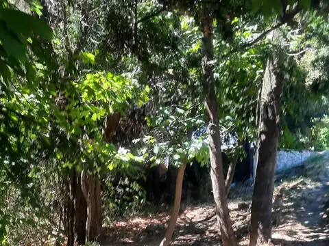 Av De Los Pioneros 3190