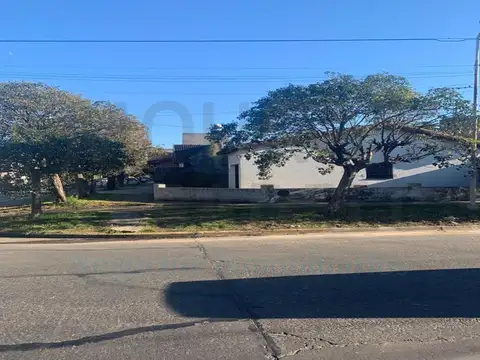 ALMAFUERTE 1000