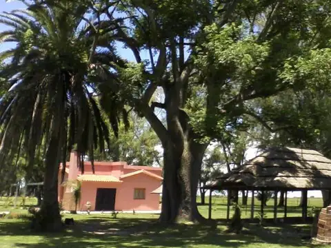 Campo en San Jeronimo Del Sauce, mixto, alquilado,