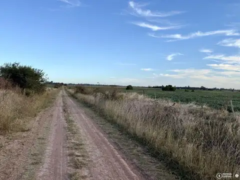 Campo en venta en Villa Ruiz 15 hectareas