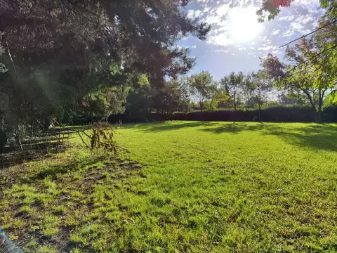 Bº EL REMANSO -LA GOLONDRINA