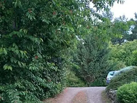 Terreno en Venta 44  mts Fondo