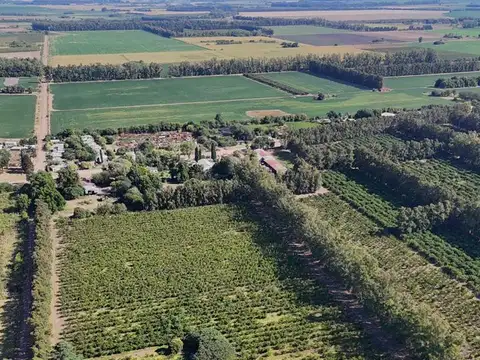 Campo en Venta de 6  ha