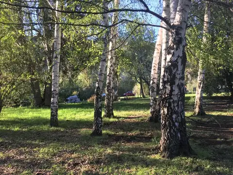 El Bolsón (Ruta 40. Los Repollos, Río Negro)