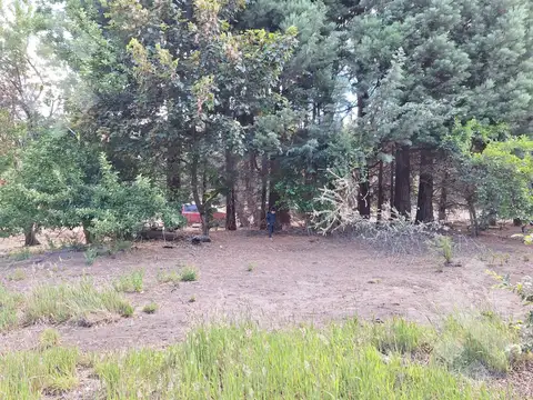 Venta lote de 450 m2 - Aires del Valle - San Martin de los Andes