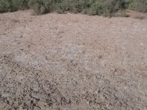 Campo en Venta Ganadero