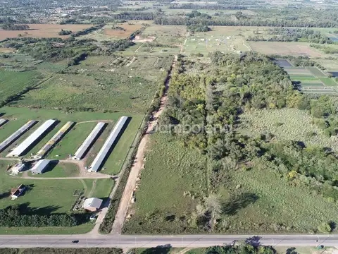 Terreno Campo  en Venta en Pilar,  G.B.A. Zona Norte - DAM2940_LP537912_1