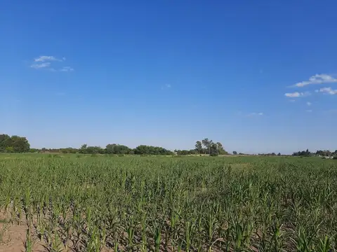 Pte. Perón Y Ruta 9