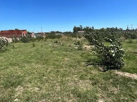 Terreno en Venta en Chivilcoy, USD 11.900