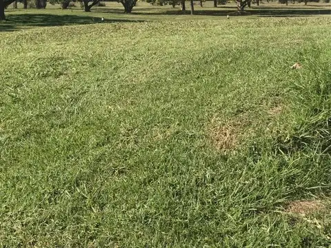 Terreno en Venta en Pilar del Este - San Ramon, USD 43.000