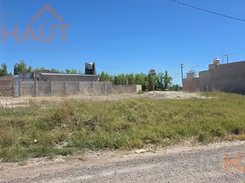 Tehuelches 100