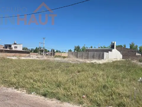 Tehuelches 100