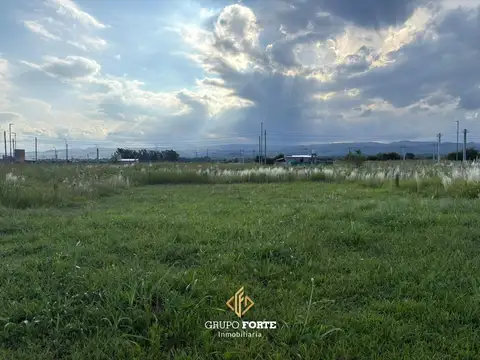 Terreno en Venta 12  mts Frente