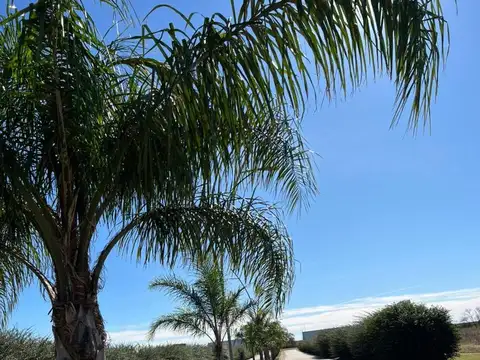 ¡Venta! Lote en Acquavista - ¡Posesión Inmediata!
