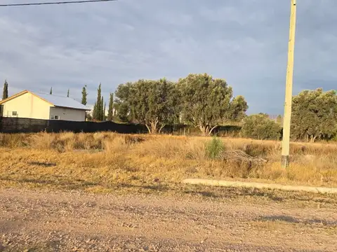Lote de 482,39 m² en venta sobre calle Tacuarí | San Rafael