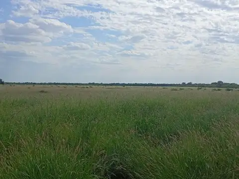VENTA CAMPO MIXTO SERREZUELA 876 HAS