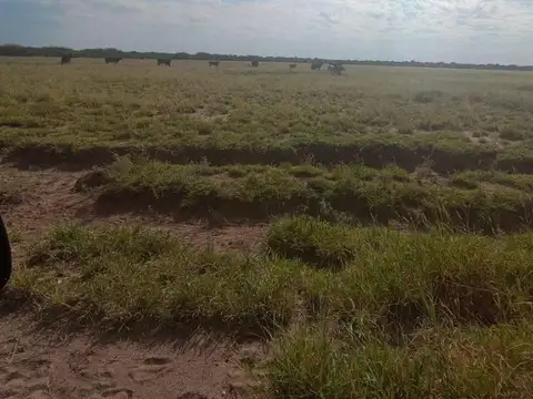VENTA CAMPO MIXTO SERREZUELA  RUTA NACIONAL 38