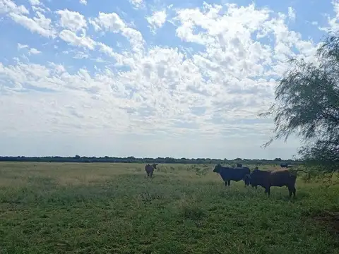 VENTA CAMPO MIXTO SERREZUELA  RUTA NACIONAL 38