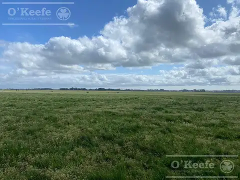 Campo Mixto en venta - 241 has en Magdalena !!