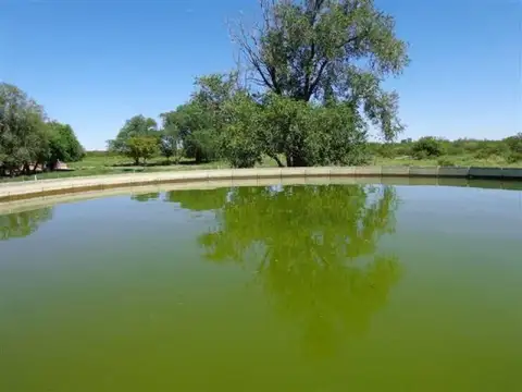 Casa Campo  en Venta en Santa Isabel, Chalileo, La Pampa - BLA5684_LP573156_3