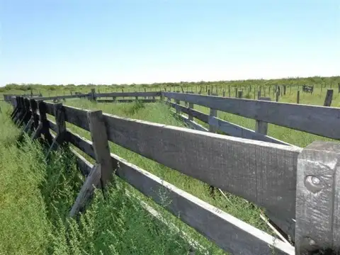 Santa Isabel, La Pampa 100