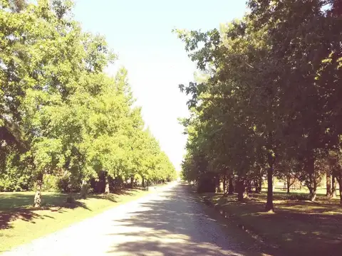 Terreno en venta - 1.504Mts2 - Exaltación de La Cruz